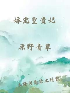 娇宠皇贵妃