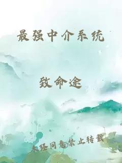 最强中介系统