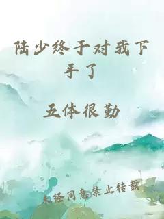 陆少终于对我下手了
