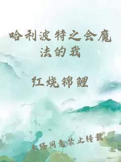 哈利波特之会魔法的我