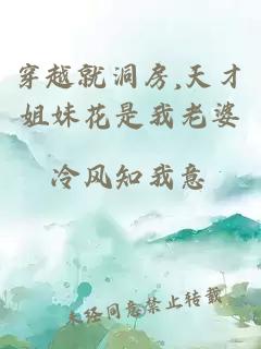 穿越就洞房,天才姐妹花是我老婆