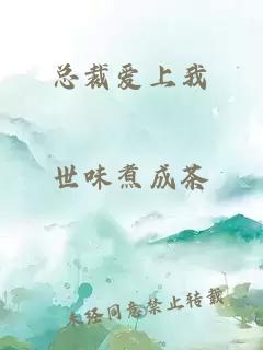 总裁爱上我