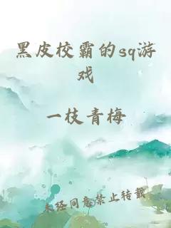 黑皮校霸的sq游戏