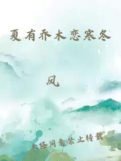 夏有乔木恋寒冬
