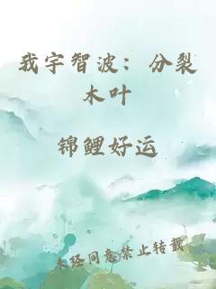 我宇智波：分裂木叶