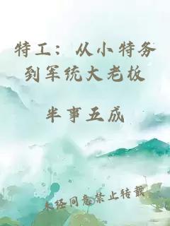 特工：从小特务到军统大老板