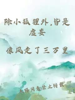 除小狐狸外,皆是虚妄