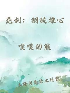 亮剑：钢铁雄心