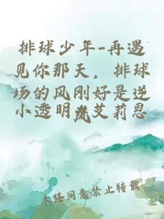 排球少年-再遇见你那天，排球场的风刚好是逆风
