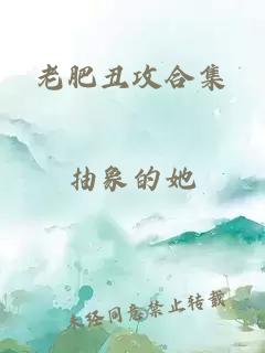 老肥丑攻合集