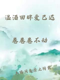温酒回眸爱已迟