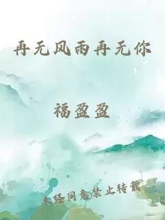 再无风雨再无你