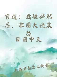官道：我被停职后，京圈大佬震怒