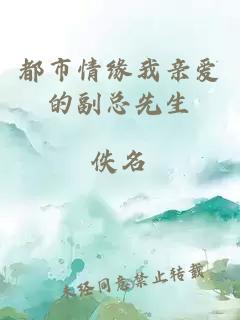 都市情缘我亲爱的副总先生