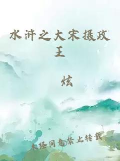 水浒之大宋摄政王