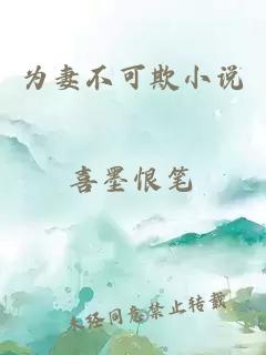 为妻不可欺小说