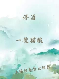 停泊
