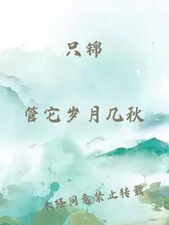 只锦