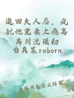 追回夫人后，疯批他宠妻上瘾高禹川沈瑶初